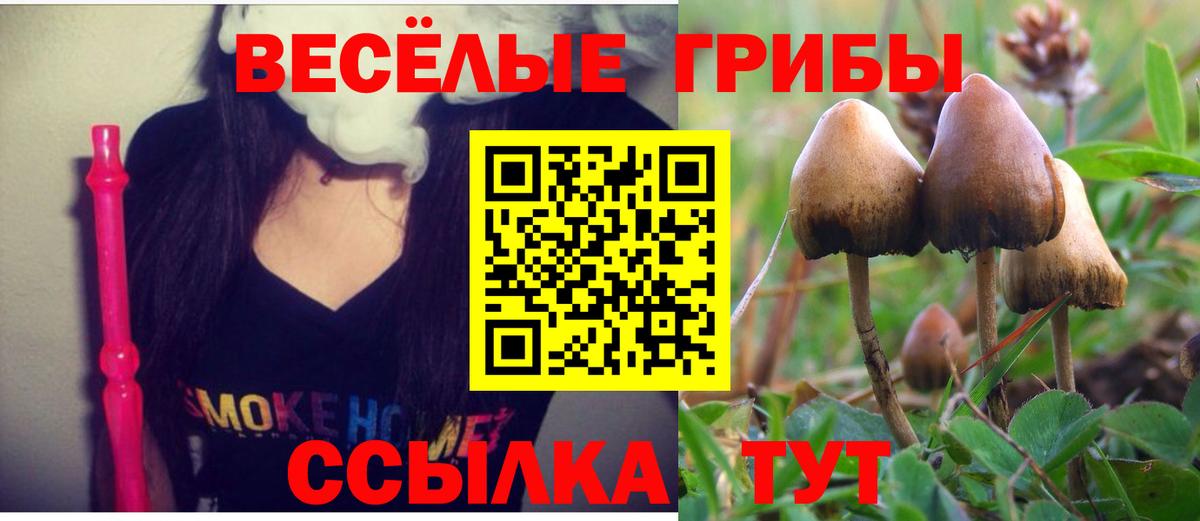 Псилоцибиновые грибы MAGIC MUSHROOMS  Галлюциногенные грибы Magic Shrooms  Вход с VPN  Кандалакша 